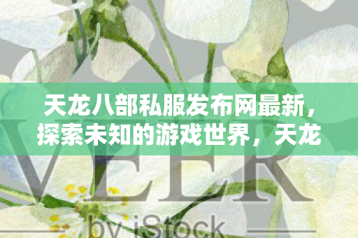 天龙八部私服发布网最新图片