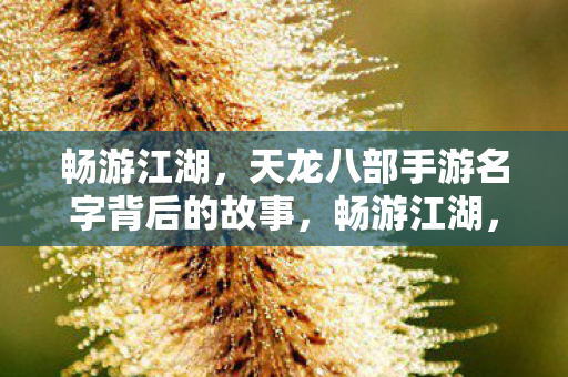 畅游江湖，天龙八部手游名字背后的故事，畅游江湖，揭秘天龙八部手游名字背后的故事