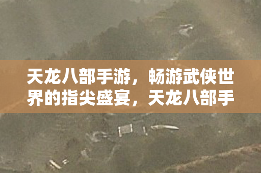 畅游武侠世界的指尖盛宴图片