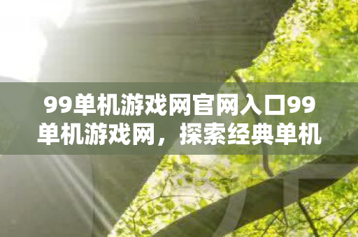 99单机游戏网官网入口99单机游戏网，探索经典单机游戏的魅力，99单机游戏网官网，探索经典单机游戏的魅力