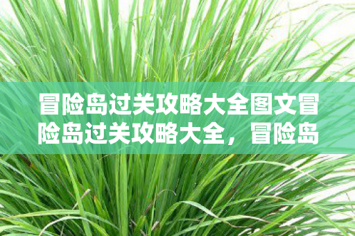 冒险岛过关攻略大全图文冒险岛过关攻略大全，冒险岛全关卡攻略指南，图文详解通关策略
