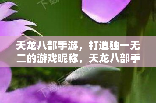 天龙八部手游，打造独一无二的游戏昵称，天龙八部手游打造专属游戏昵称，展现个性风采！