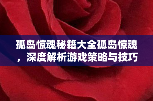 孤岛惊魂秘籍大全孤岛惊魂,深度解析游戏策略与技巧,孤岛惊魂,深度解析游戏策略与技巧秘籍 孤岛惊魂秘籍大全孤岛惊魂,深度解析游戏策略与技巧,孤岛惊魂,深度解析游戏策略与技巧秘籍