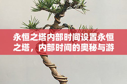 内部时间的奥秘与游戏世界的探索图片