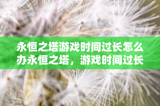 永恒之塔游戏时间过长怎么办永恒之塔图片