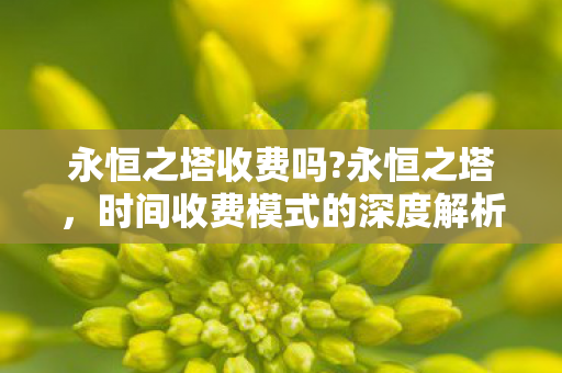 时间收费模式的深度解析图片
