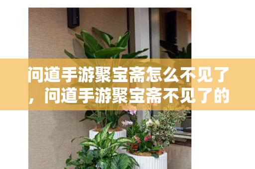 问道手游聚宝斋不见了的原因及解决方法图片