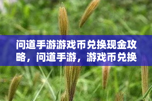 问道手游游戏币兑换现金攻略图片
