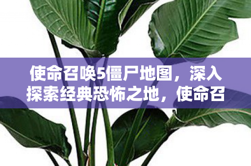 深入探索经典恐怖之地图片