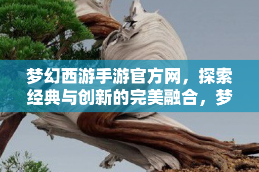 梦幻西游手游官方网,探索经典与创新的完美融合,梦幻西游手游官网,经典与创新完美融合的探索之旅 梦幻西游手游官方网,探索经典与创新的完美融合,梦幻西游手游官网,经典与创新完美融合的探索之旅