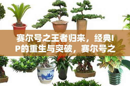 赛尔号之王者归来，经典IP的重生与突破，赛尔号之王者归来，经典IP的重生与突破