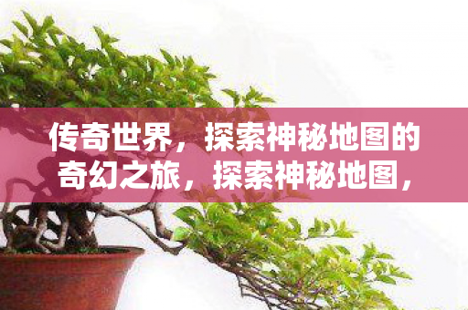 传奇世界，探索神秘地图的奇幻之旅，探索神秘地图，奇幻之旅在传奇世界