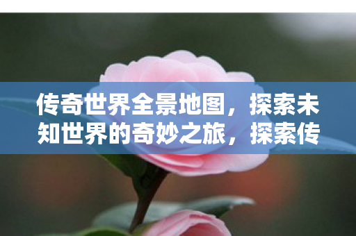 传奇世界全景地图，探索未知世界的奇妙之旅，探索传奇世界全景地图，奇妙之旅开启