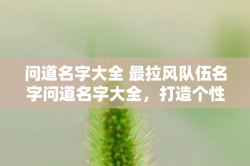 问道名字大全 最拉风队伍名字问道名字大全，打造个性与韵味的游戏昵称，最拉风队伍名字，打造个性与韵味的游戏昵称