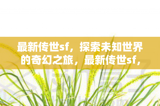 最新传世sf，探索未知世界的奇幻之旅，最新传世sf，探索未知世界的奇幻之旅