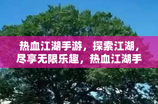 热血江湖手游图片