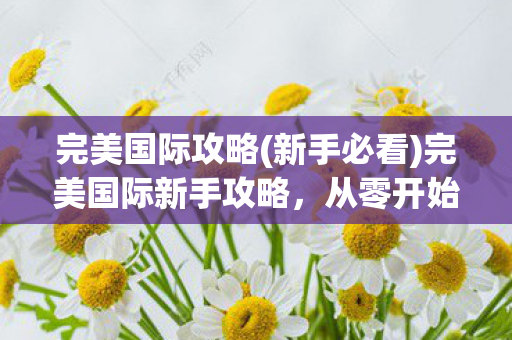 完美国际攻略(新手必看)完美国际新手攻略，从零开始打造你的游戏帝国