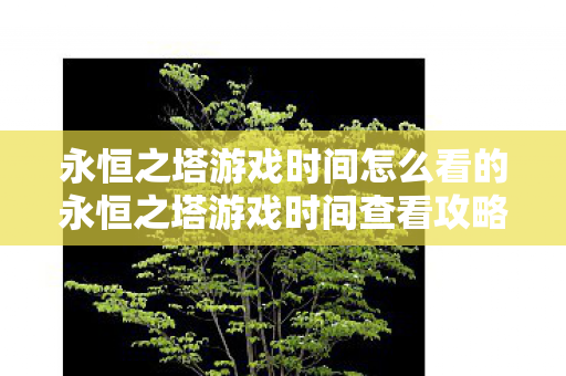 永恒之塔游戏时间怎么看的永恒之塔游戏时间查看攻略图片