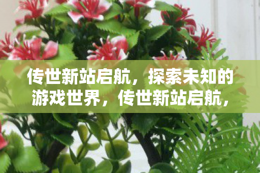 传世新站启航，探索未知的游戏世界，传世新站启航，探索未知的游戏世界