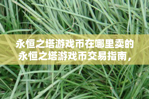 永恒之塔游戏币在哪里卖的永恒之塔游戏币交易指南图片