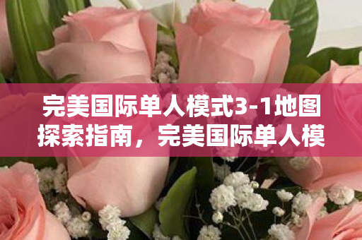 完美国际单人模式3图片