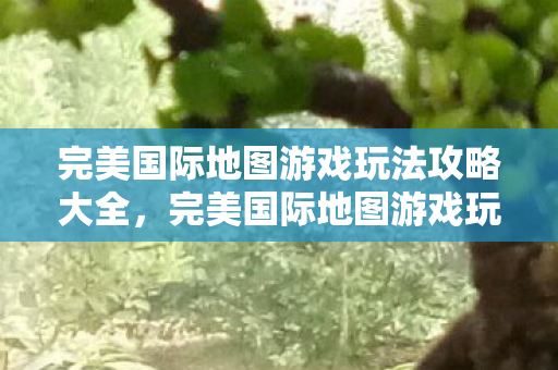 完美国际地图游戏玩法攻略大全图片