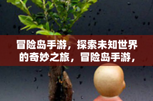 冒险岛手游，探索未知世界的奇妙之旅，冒险岛手游，探索未知世界的奇妙之旅
