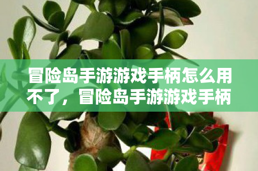 冒险岛手游游戏手柄无法使用怎么办图片