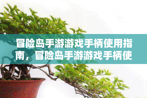 冒险岛手游游戏手柄使用指南图片