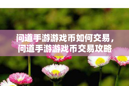 问道手游游戏币如何交易图片
