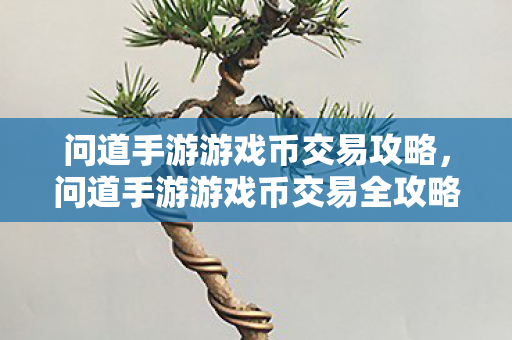 问道手游游戏币交易全攻略图片