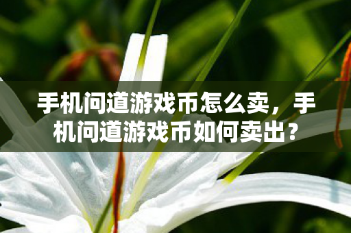手机问道游戏币如何卖出图片