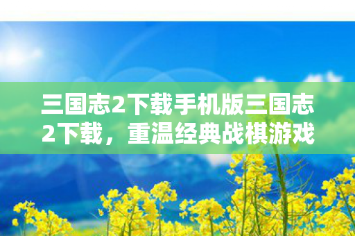 三国志2下载手机版三国志2下载，重温经典战棋游戏的便捷途径，三国志2手机版下载，重温经典战棋游戏的便捷途径