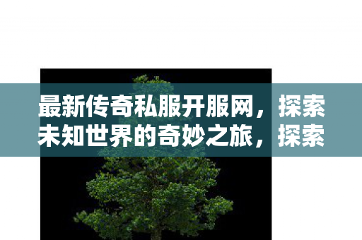 最新传奇私服开服网，探索未知世界的奇妙之旅，探索未知世界的奇妙之旅，最新传奇私服开服网