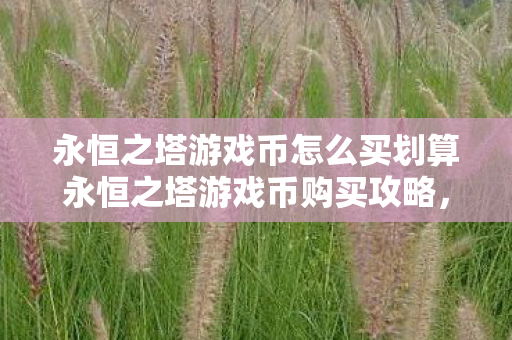 永恒之塔游戏币怎么买划算永恒之塔游戏币购买攻略图片