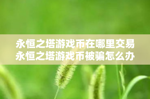 永恒之塔游戏币在哪里交易永恒之塔游戏币被骗怎么办图片