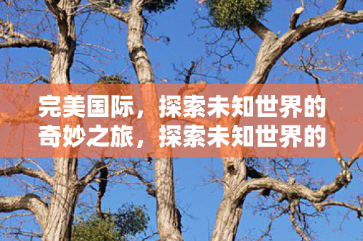探索未知世界的奇妙之旅图片