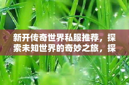 新开传奇世界私服推荐，探索未知世界的奇妙之旅，探索未知世界的奇妙之旅，新开传奇世界私服推荐