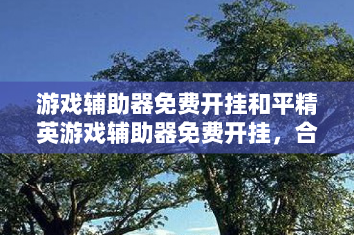游戏辅助器免费开挂和平精英游戏辅助器免费开挂，合法辅助的边界与玩家权益，和平精英游戏辅助器免费开挂，合法辅助的边界与玩家权益
