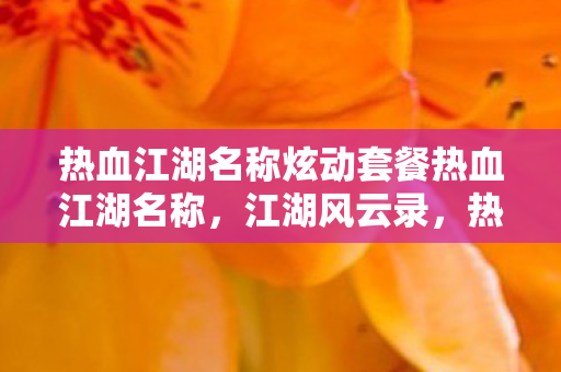 热血江湖名称炫动套餐热血江湖名称图片