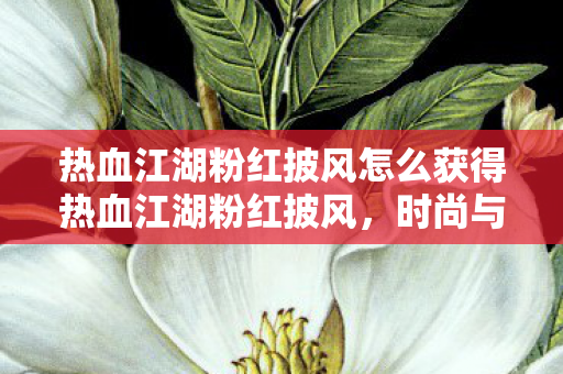 热血江湖粉红披风怎么获得热血江湖粉红披风图片