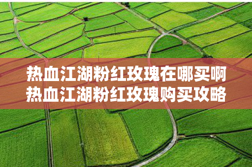 热血江湖粉红玫瑰在哪买啊热血江湖粉红玫瑰购买攻略图片