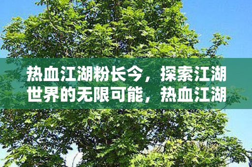 探索江湖世界的无限可能图片