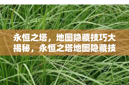 永恒之塔地图隐藏技巧全揭秘图片