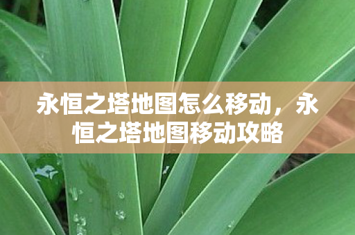 永恒之塔地图怎么移动图片