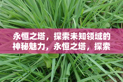 探索未知领域的神秘魅力图片