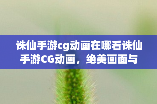 诛仙手游cg动画在哪看诛仙手游CG动画图片