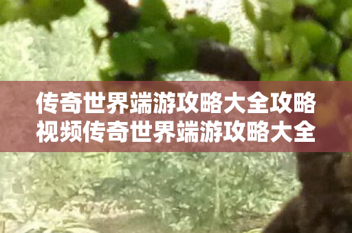 传奇世界端游攻略大全攻略视频传奇世界端游攻略大全攻略，传奇世界端游攻略大全，打造最强角色，解锁隐藏任务！