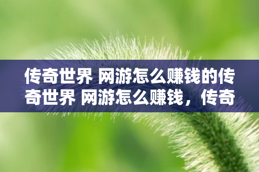 传奇世界 网游怎么赚钱的传奇世界 网游怎么赚钱图片