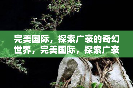 完美国际，探索广袤的奇幻世界，完美国际，探索广袤奇幻世界，开启无限想象之旅！